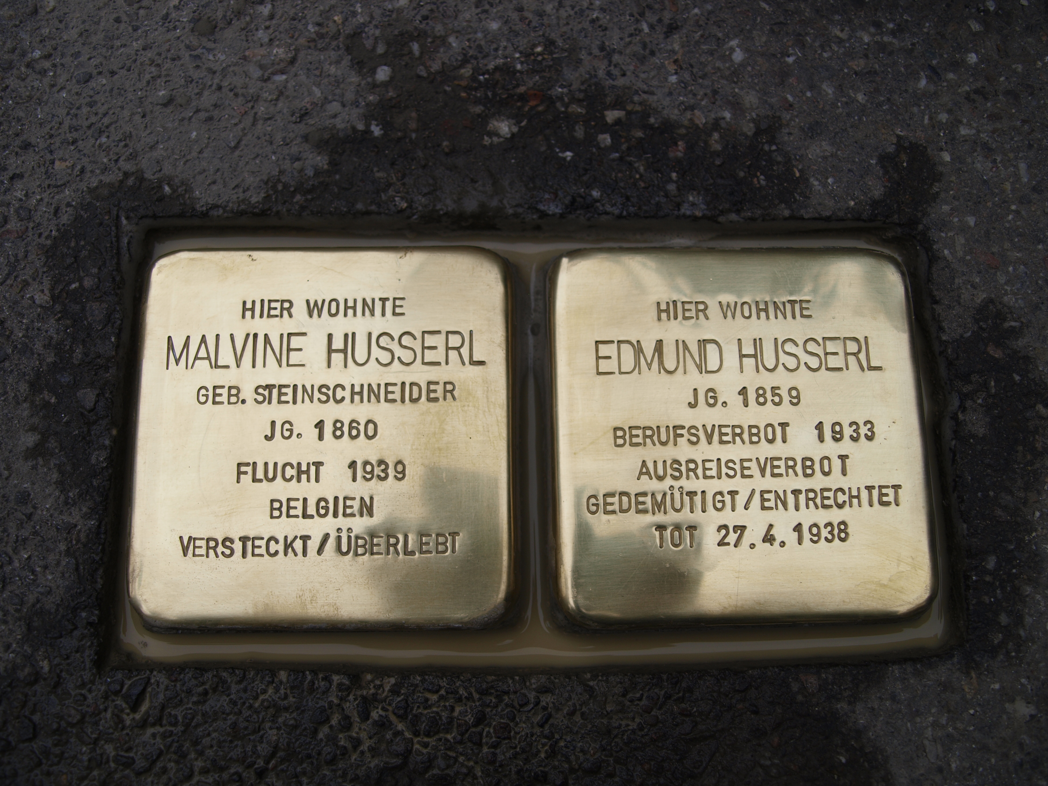 Stolpersteine für Edmund und Malvine Husserl